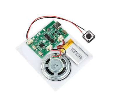 Grabador de audio